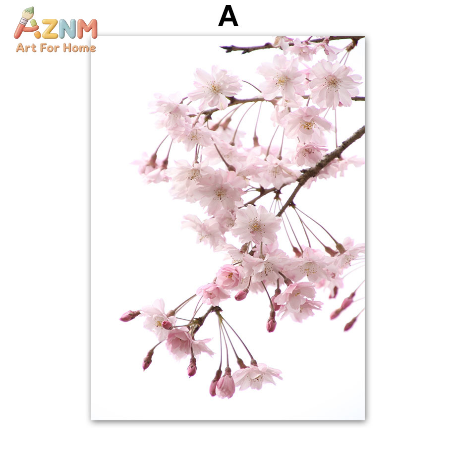 AZNM Pink Cherry Blossom Canva - Photography Quotes recension och pris